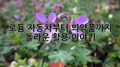 로듐: 자동차부터 의약품까지 놀라운 활용 이야기